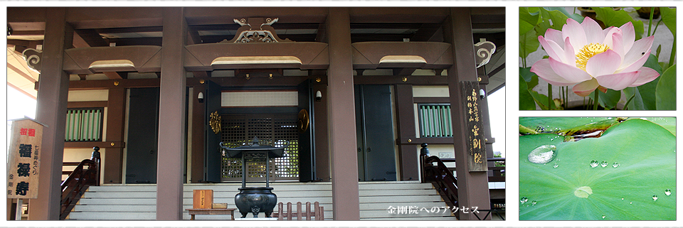 金剛院は東京都八王子市上野町にある高野山真言宗の寺院です。 寺史、行事、教室、八王子七福神、関東八十八ヶ所霊場など巡拝巡礼を紹介している金剛院公式ホームページです。