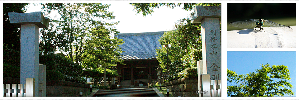 金剛院は東京都八王子市上野町にある高野山真言宗の寺院です。 寺史、行事、教室、八王子七福神、関東八十八ヶ所霊場など巡拝巡礼を紹介している金剛院公式ホームページです。